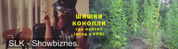 прущие грибы Беломорск