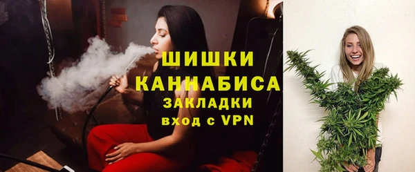 соль ск Алапаевск