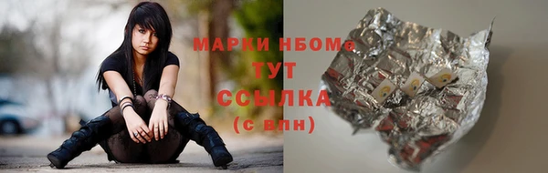 прущие грибы Беломорск