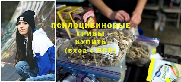 прущие грибы Беломорск