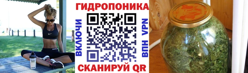 закладки  Благодарный  Бошки марихуана OG Kush 